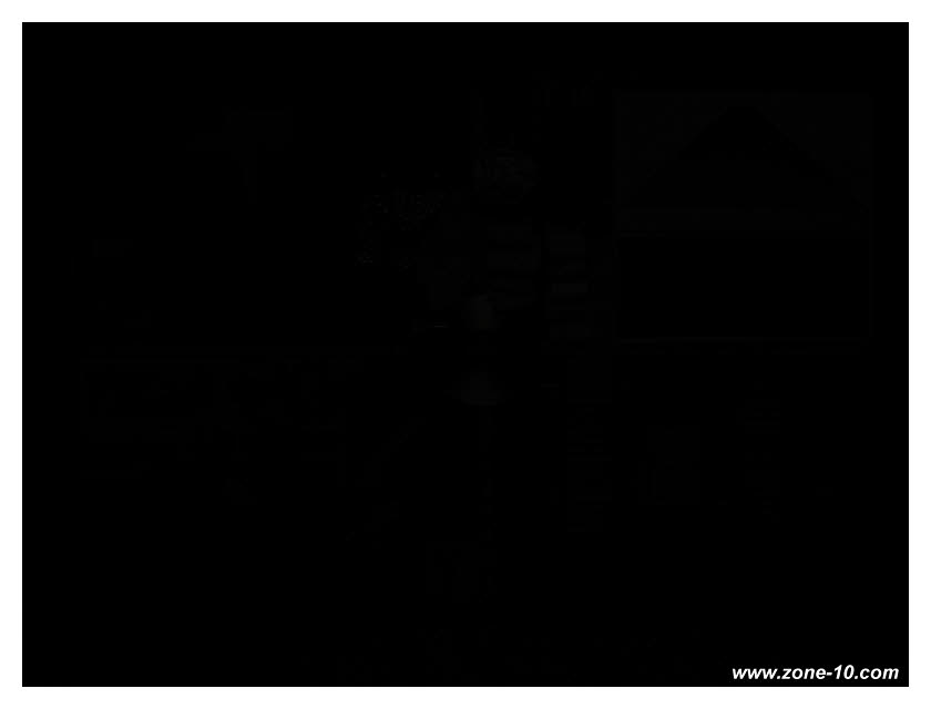 P3080143-100-zx