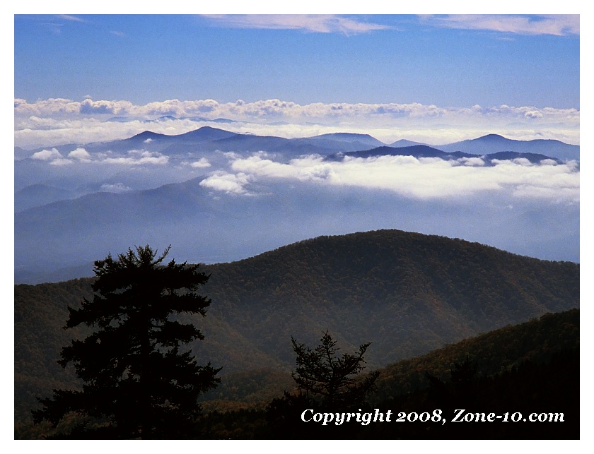 Image1_web