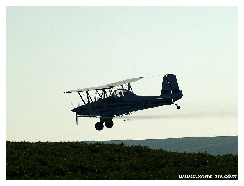 P8149184-cropduster1-800
