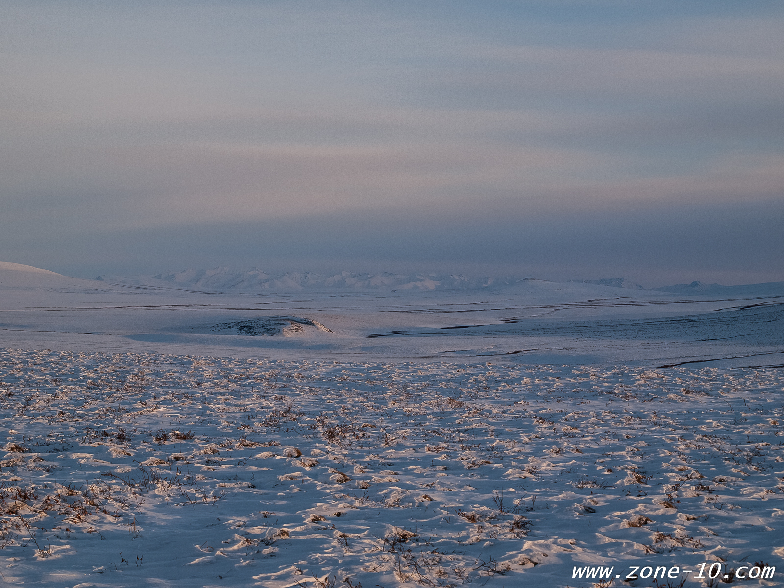 First Light on the Tundra