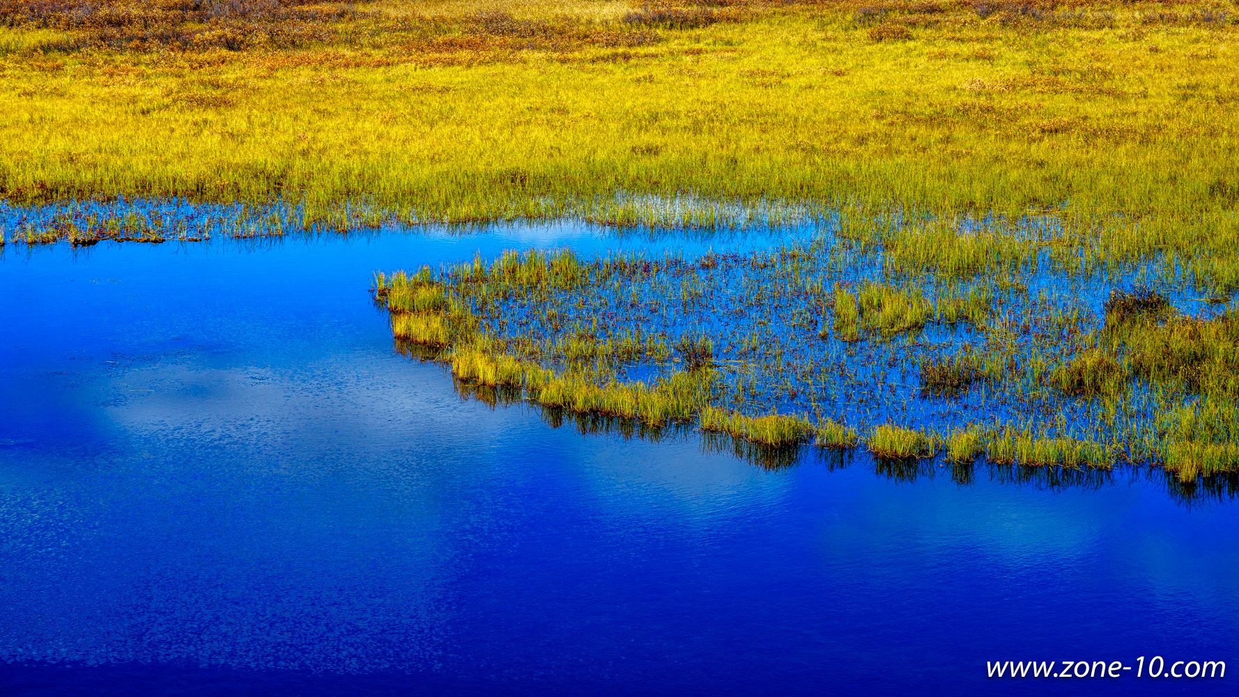 Pond in the Tundra