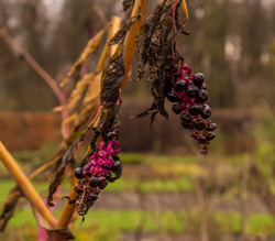 Oostbroek-0129_001.jpg