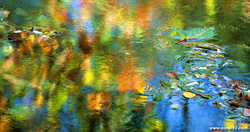 Scan-131210-0001-1