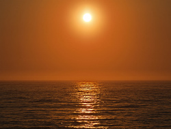 _8188234oofm