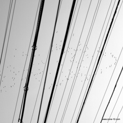 P1030911