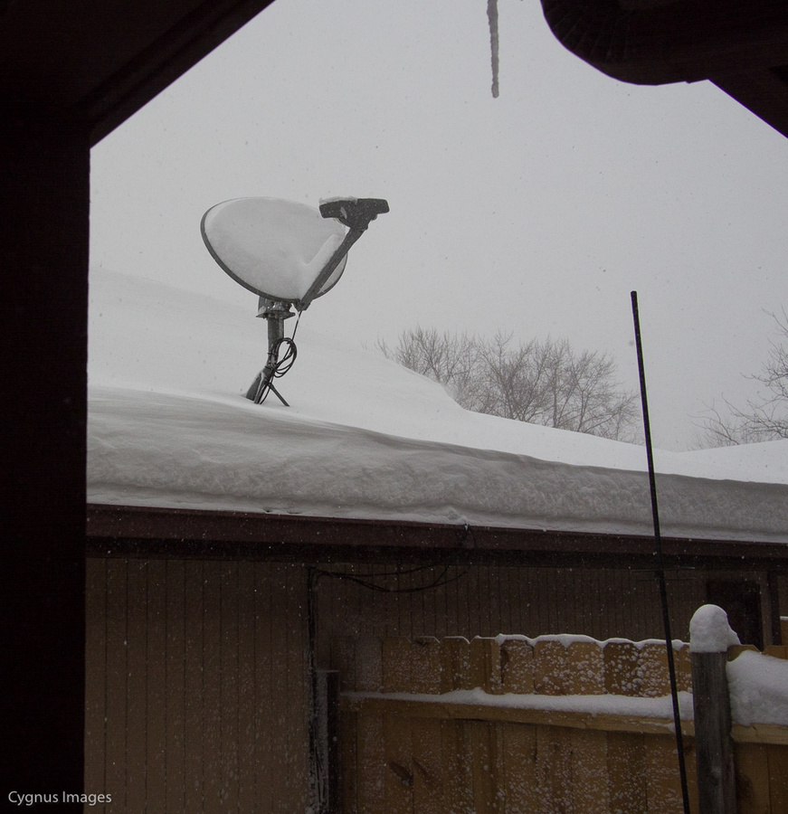 Snowpocalypse 2014, Part One