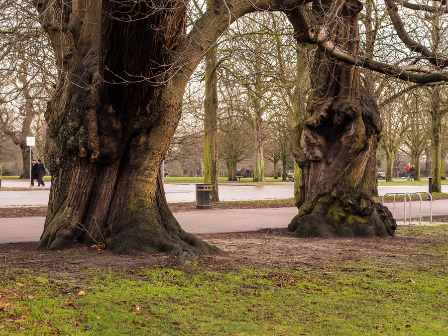 Near Greenwich Observatory