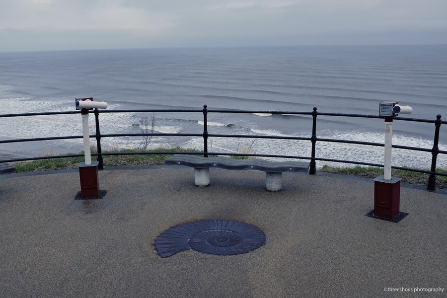 D2014_DSF2251 Saltburn
