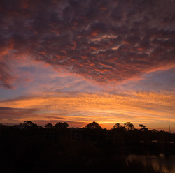 Orlando sunrise PEM51465-67