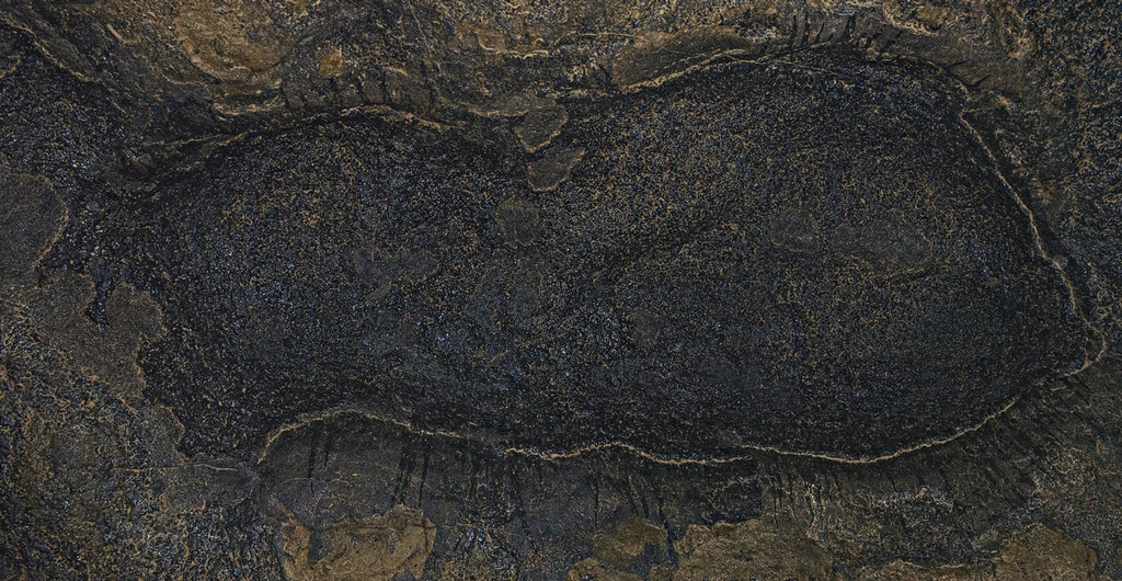 Roof Panorama