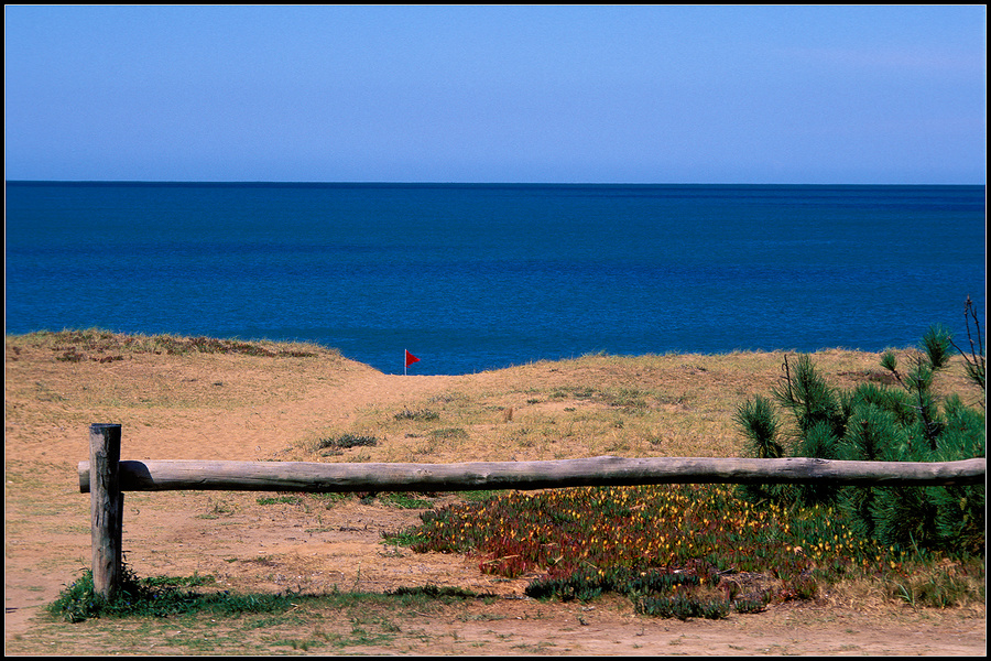 mi playa [my beach]