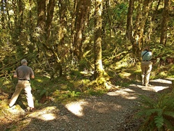 P3101508-Mike & Karen photography at Haast Pass