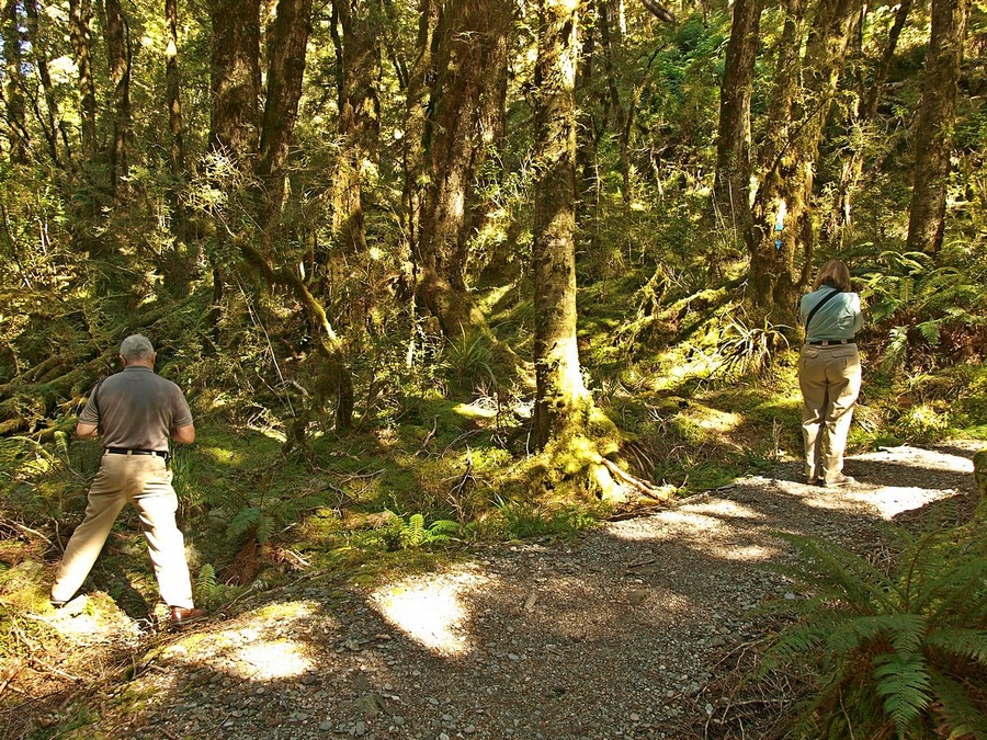 P3101508-Mike & Karen photography at Haast Pass