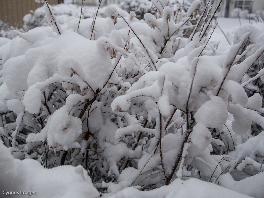 OK, Enough With The Snow
