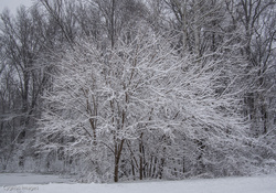 This Is March?