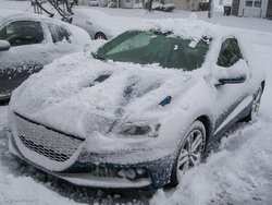 Beware The Ice of March