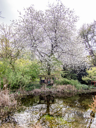 20140405-FW2A4333.jpg