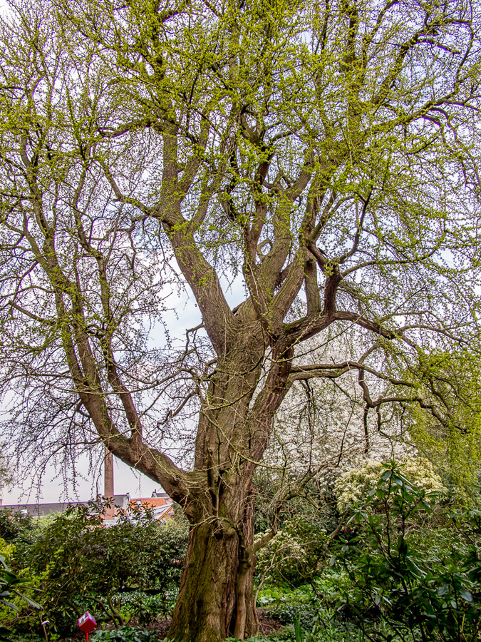 20140405-FW2A4345.jpg