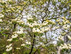 20140405-FW2A4358.jpg