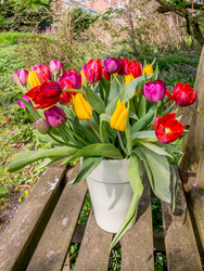 20140405-FW2A4376.jpg