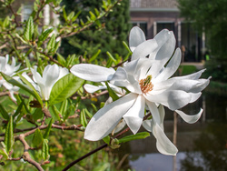 20140405-FW2A4388.jpg