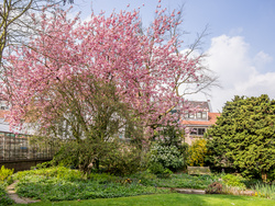 20140405-FW2A4404.jpg