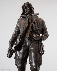 Bronze Aviator