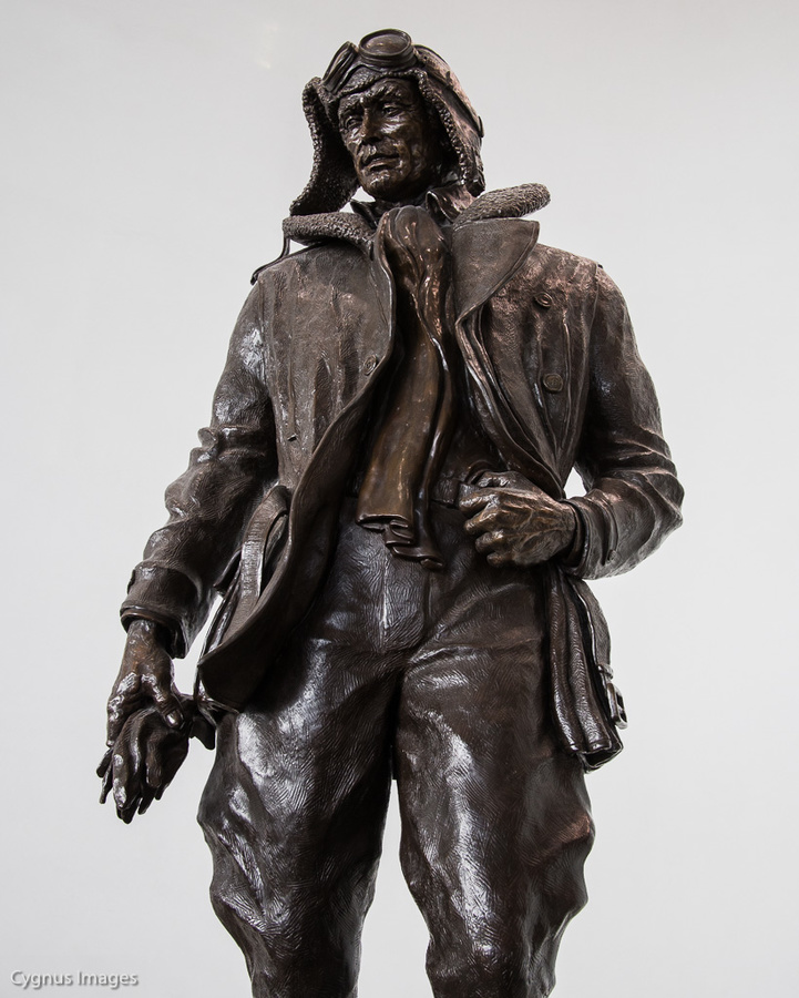 Bronze Aviator