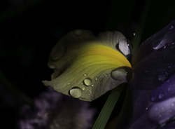 Panasonic 12-32 Lens With 10 mm Extension Tube