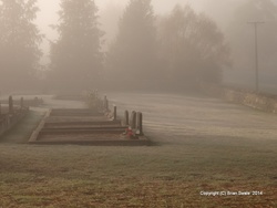 P5011622-fog and frost
