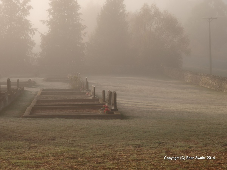 P5011622-fog and frost