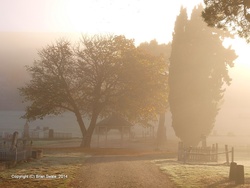 P5011626-fog-and-frost-and-sun