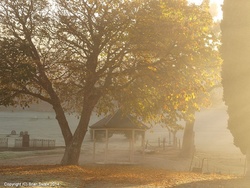 P5011627-fog-and-frost-and-sun