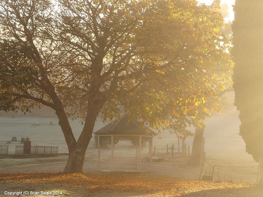 P5011627-fog-and-frost-and-sun