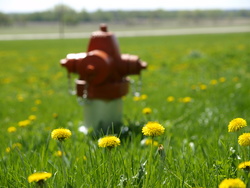 Bokeh Test