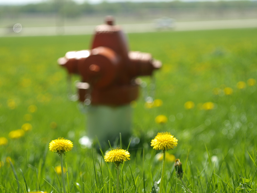 50mm35-f35-bokeh