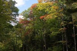 early fall colors