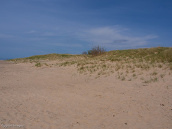 Dunescape