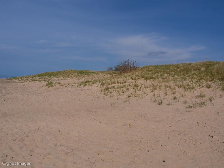 Dunescape