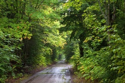 backroad4