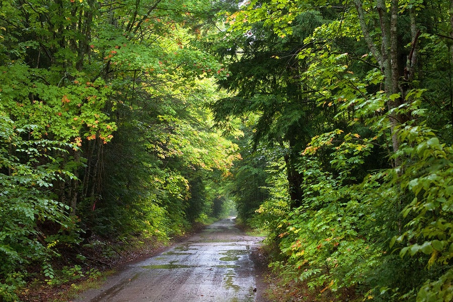 backroad4