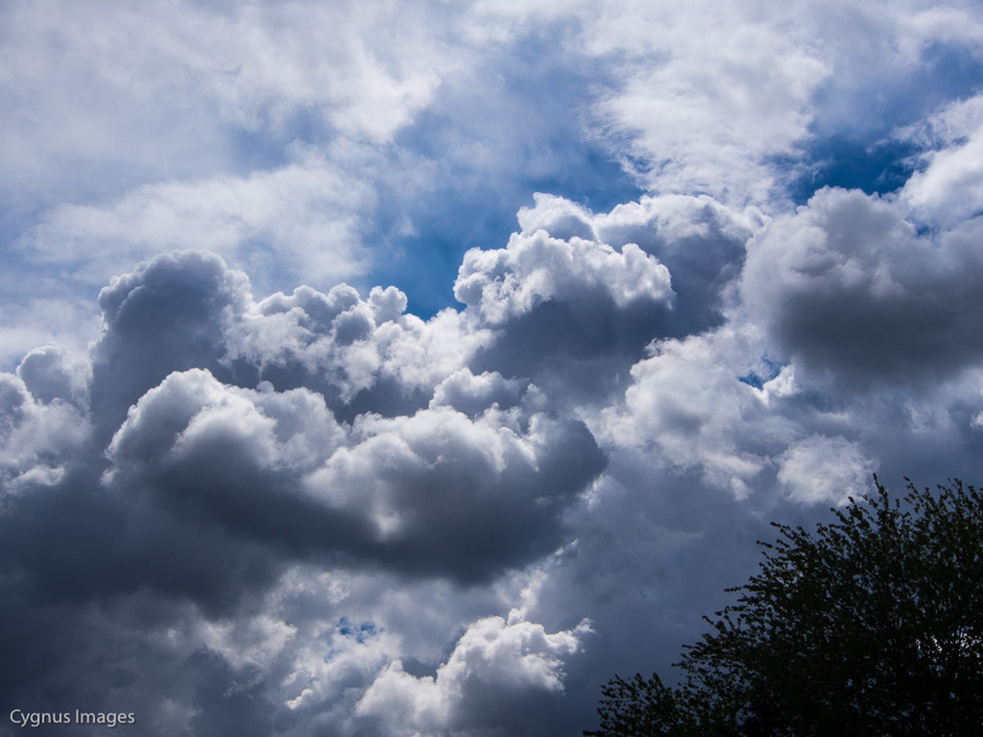 Spring Storm 1