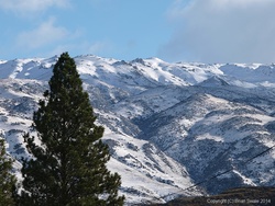 Late autumn snow