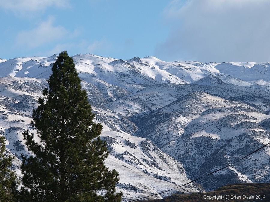Late autumn snow