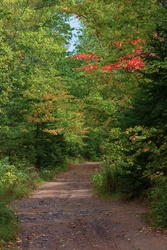 backroad5