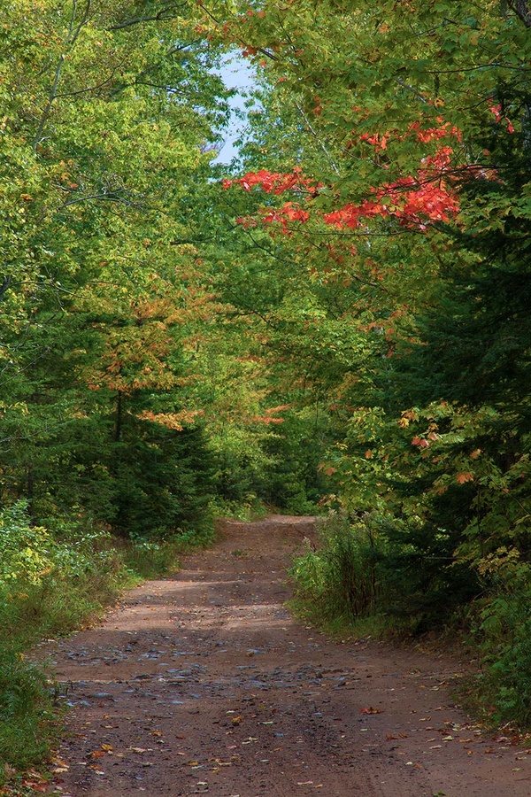 backroad5