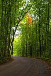 backroad5