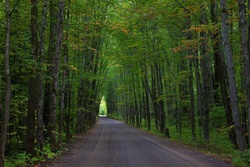 backroad6