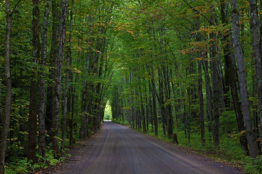 backroad6