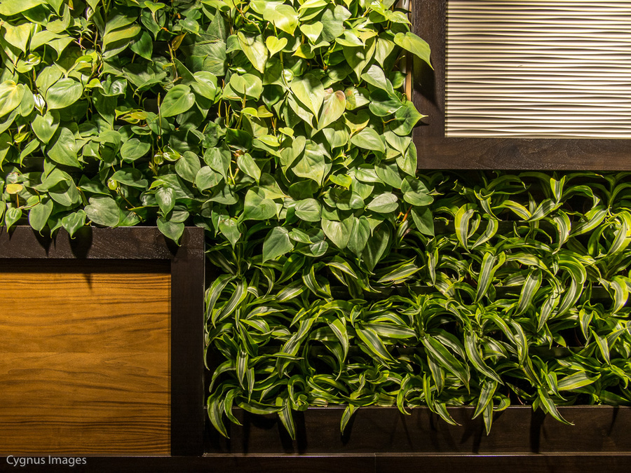 Greenwall
